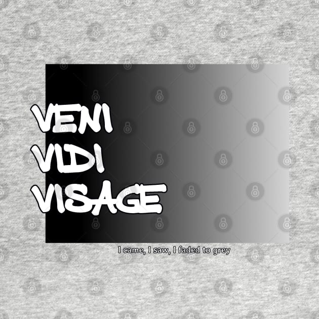 Veni Vidi Visage - I came, I saw, I faded to grey by soitwouldseem